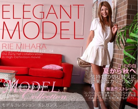 MODEL COLLECTION 14