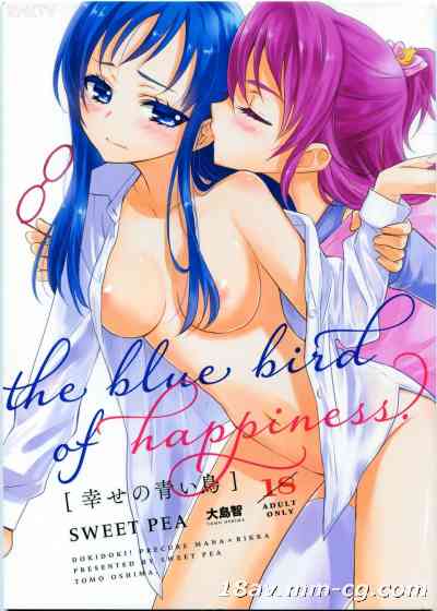 [汉化](COMIC1☆7)[スイートピーCOCOA BREAK(大島智)]幸せの青い鳥 The blue bird of happiness(Dokidoki! Precure