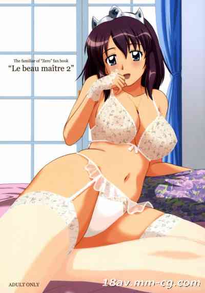 [G-SCAN CORP. (佐藤茶菓子)] Le beau maître 2 (ゼロの使い魔)