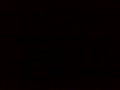 冒死偷拍。最後被發現了。