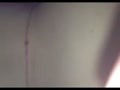 做愛自拍