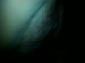 騷逼口交