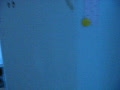大陸召妓自拍1