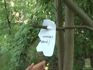 クラウディア 青姦 Forest SEX 森の中で尻を開く女 Claudia Rossi